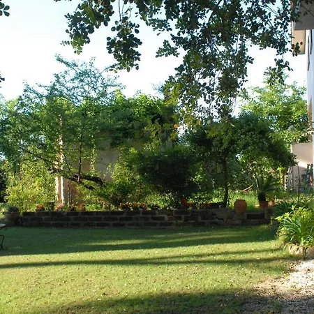 Domus Fabii Cerveteri